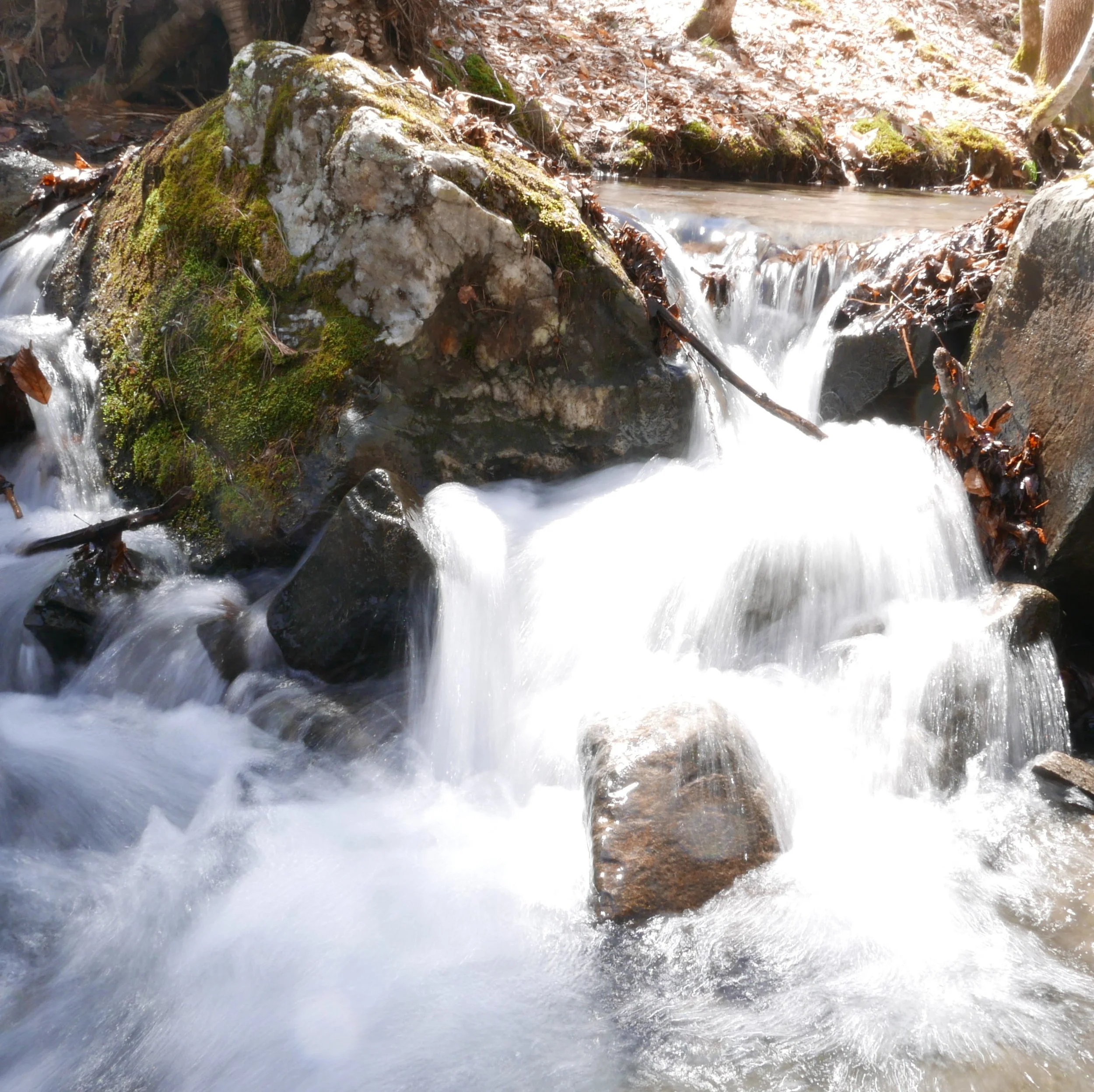 Almsgiving and Self-giving on the Way of Christ