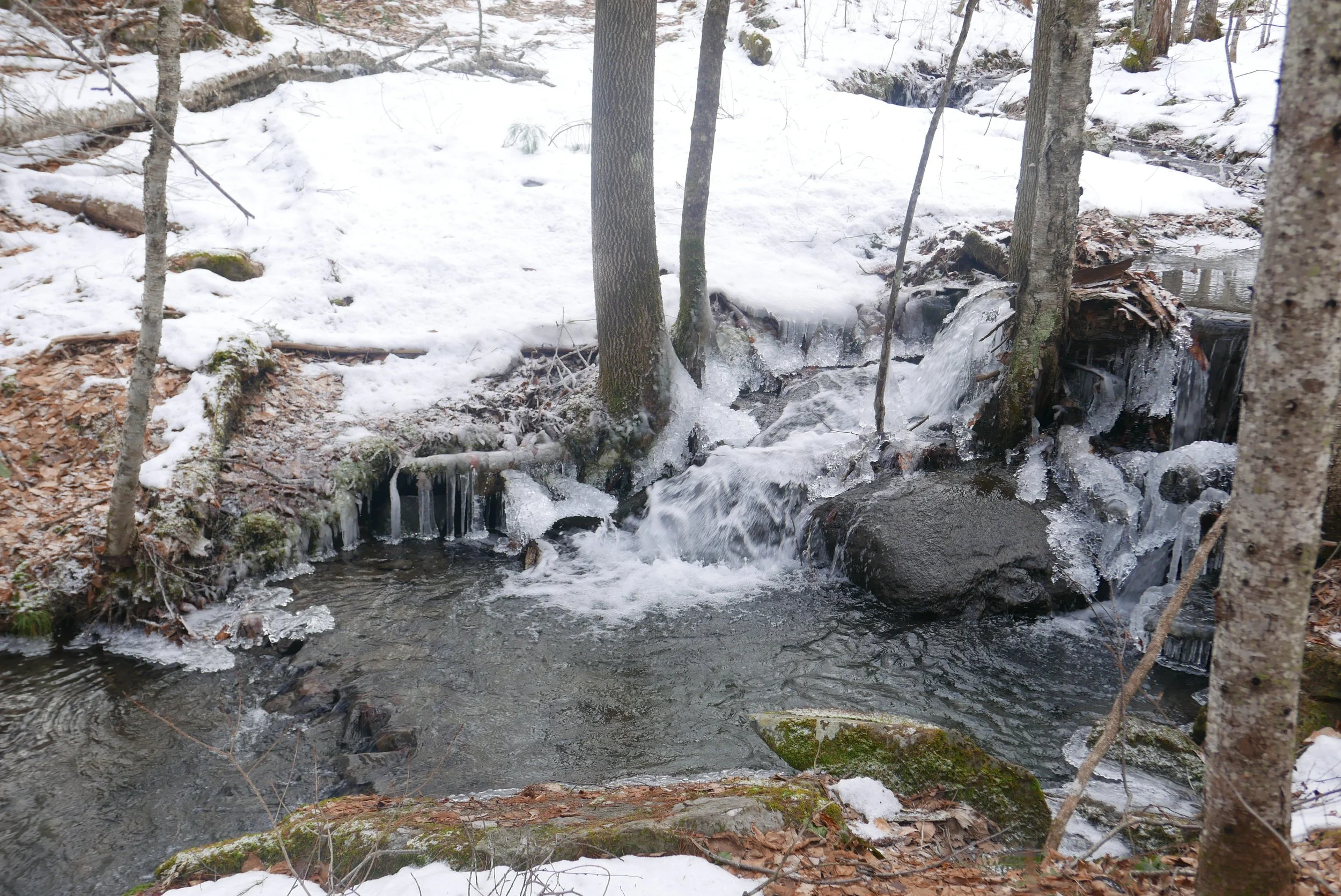 Loving Our Enemies, part 2 – Forgiveness