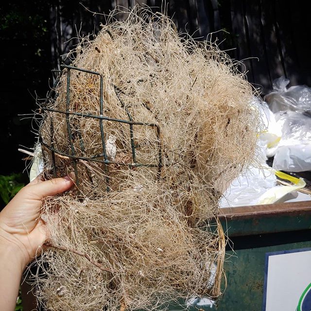 Today was the International Coastal Clean up. Members of the Mind Your Line team were out along with several local non-profits and lots of volunteers cleaning up our beaches. Along with all the other trash there was a lot of fishing line, hooks, lure