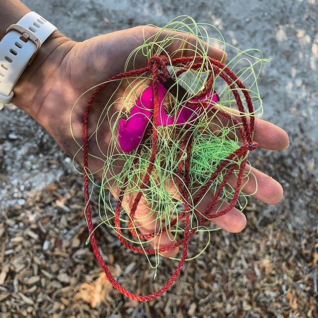 A couple of our friends at @sccf_swfl and @sanibelseaschool  doing sea turtle patrol found fishing line, balloons, and rope on the beaches of Sanibel. These items are hazardous to nesting sea turtles and hatchlings because they can cause entanglement