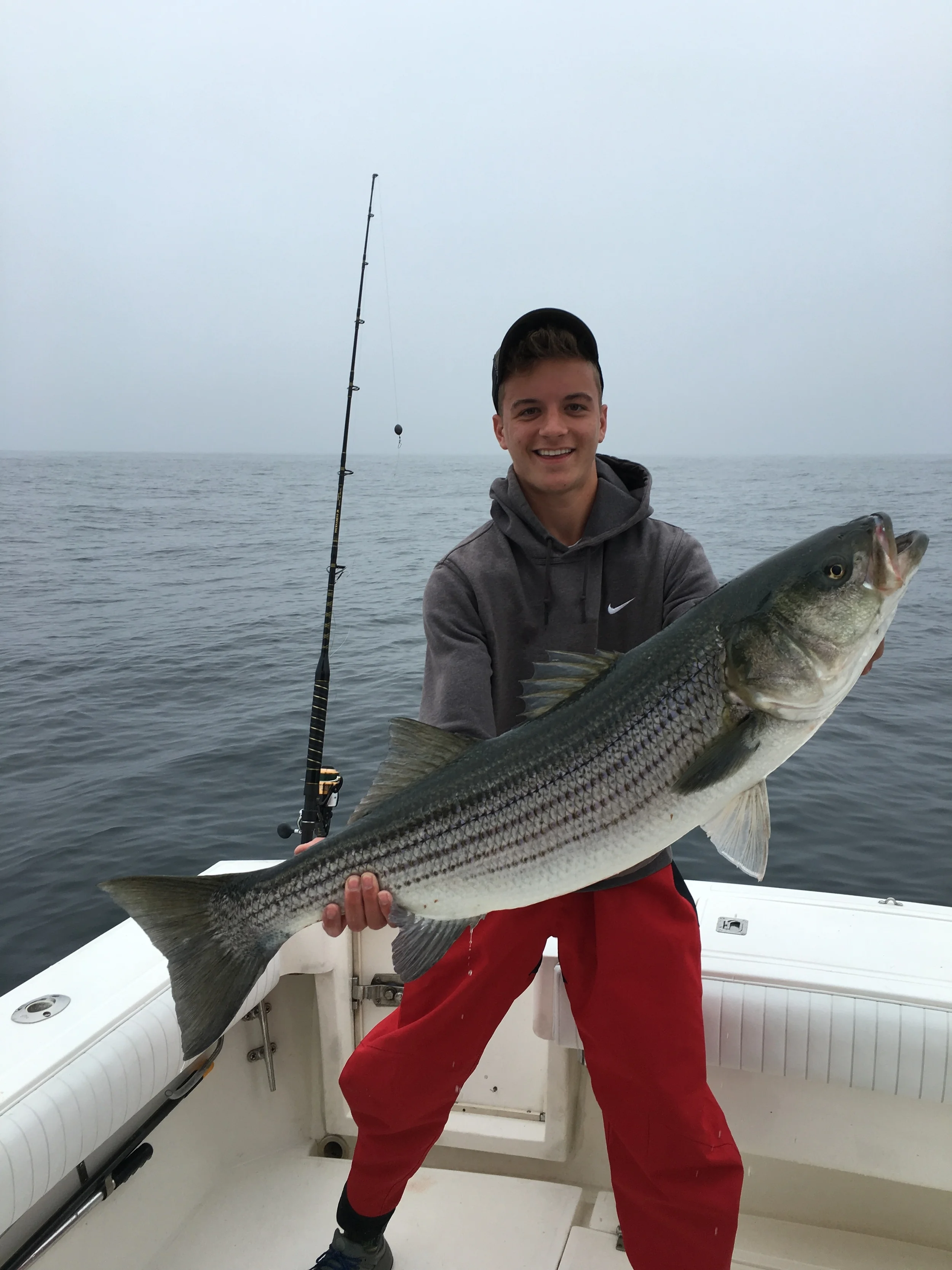 Boston Striped Bass