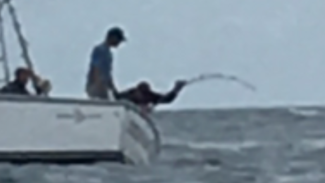 tuna 16.png
