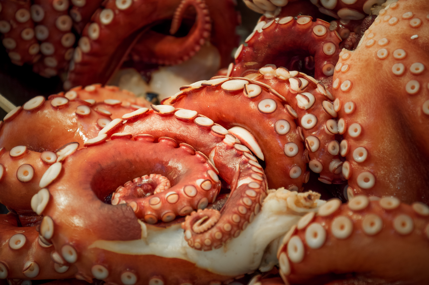 More than 2,000 tons of fresh, frozen and dried fish are sold daily at the wholesale fish market.