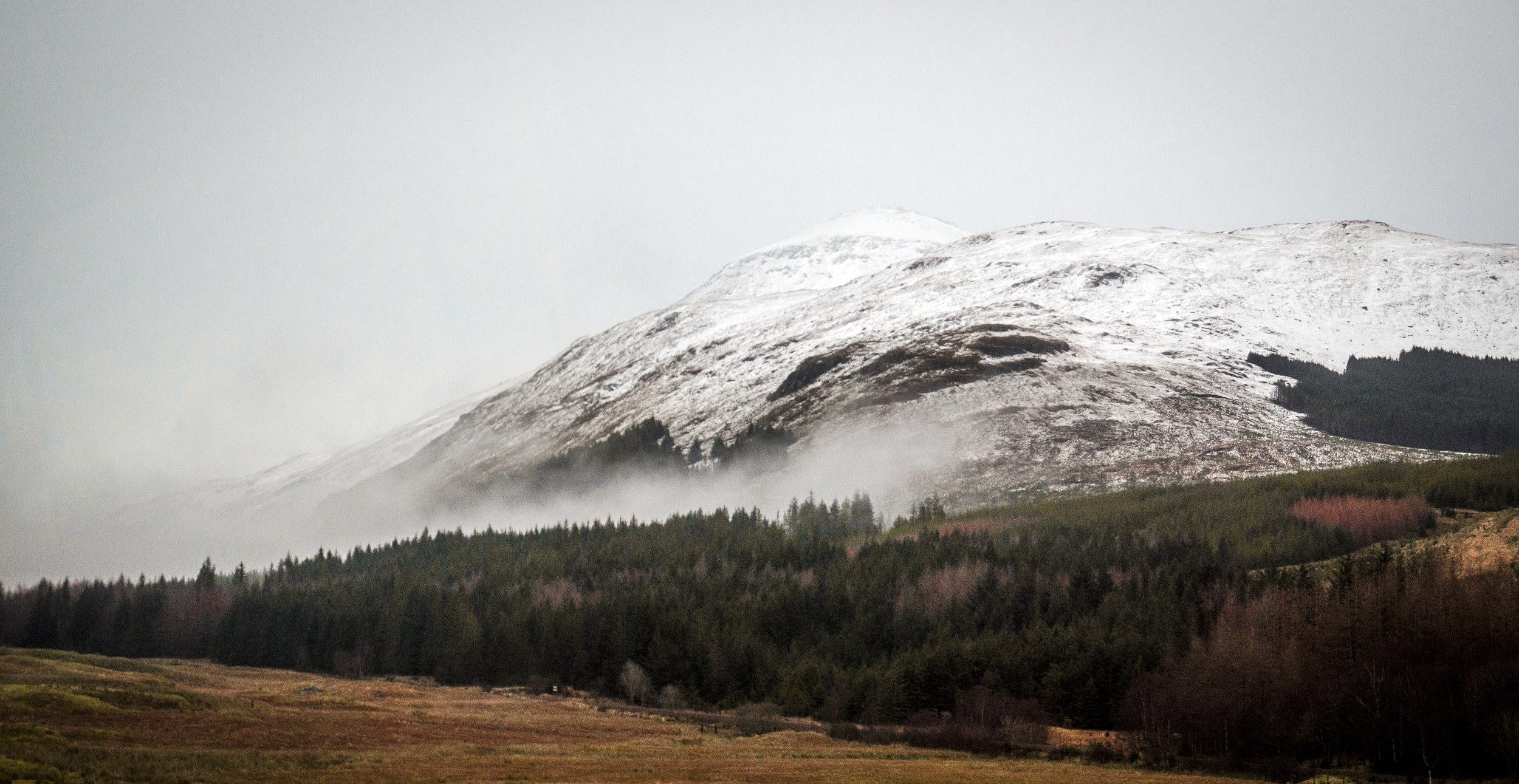 Bus journey view in December. Photo by Inga (Taken December 2015)