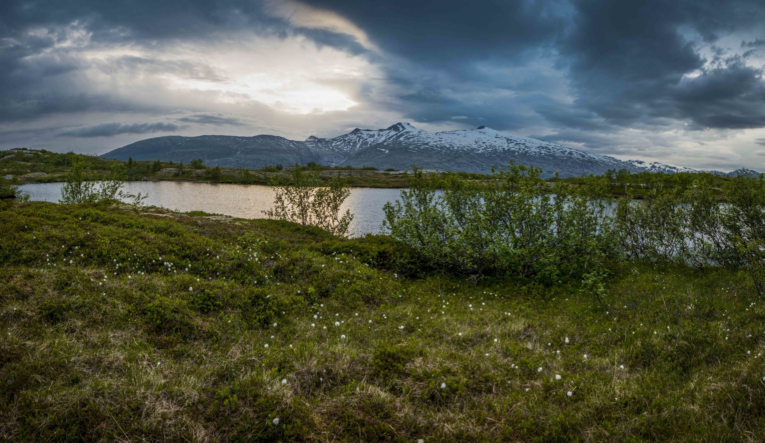 Nesna