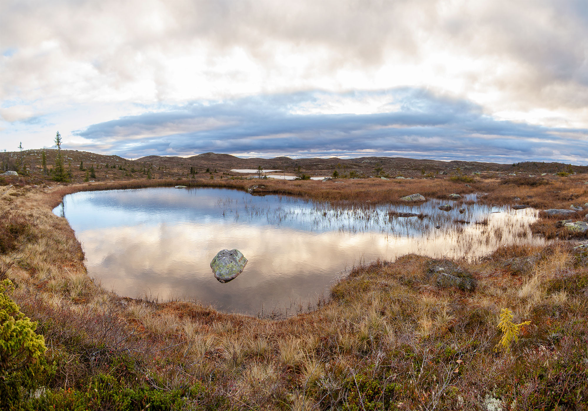 Untitled_Panorama1.jpg