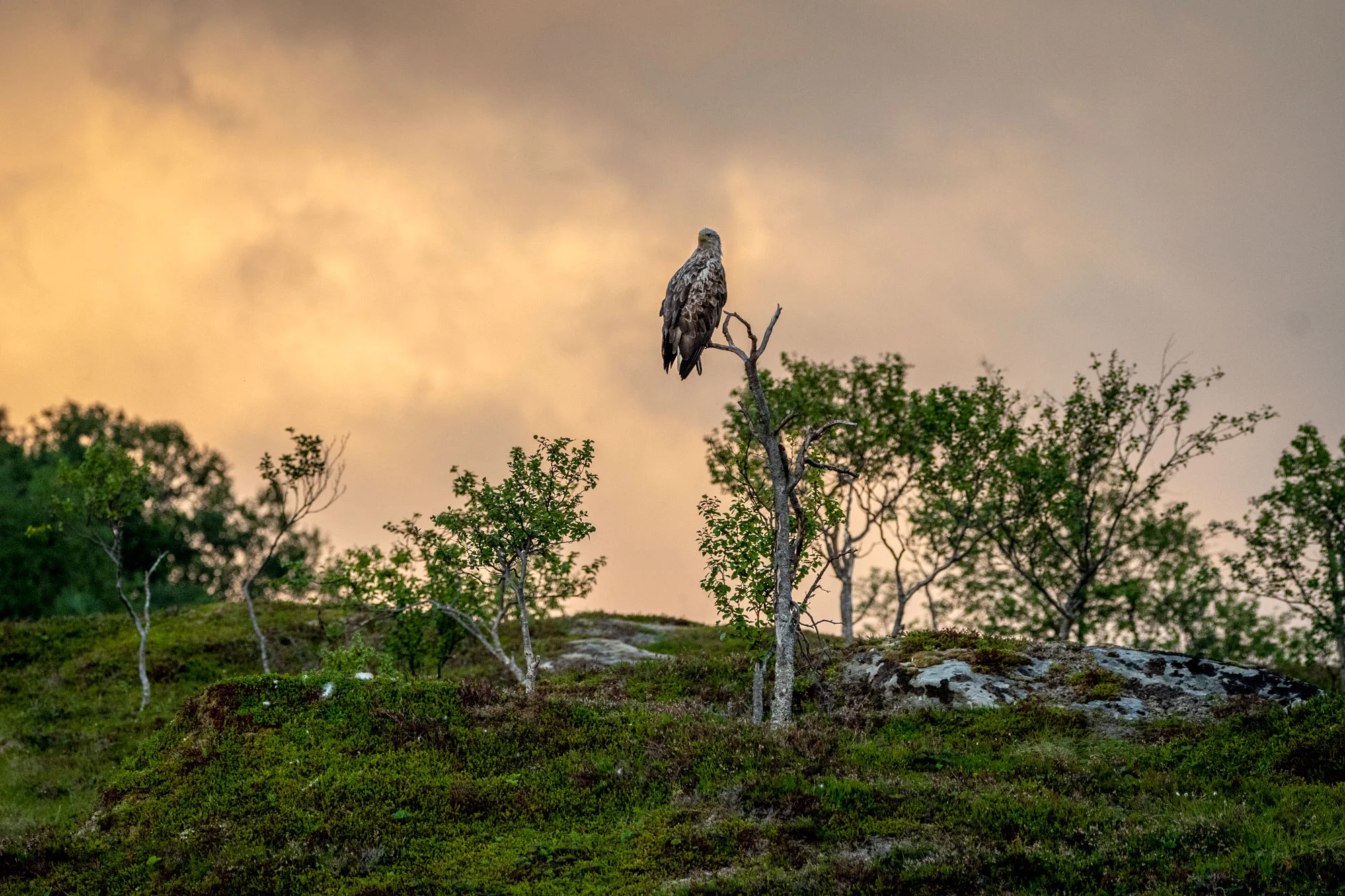 DSC_1277.jpg