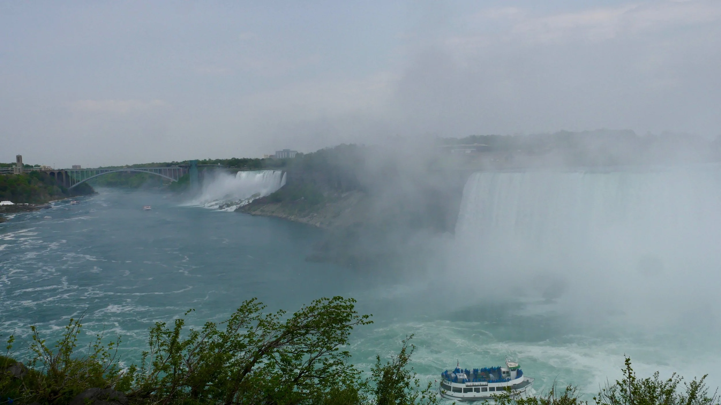 P8840336.jpg