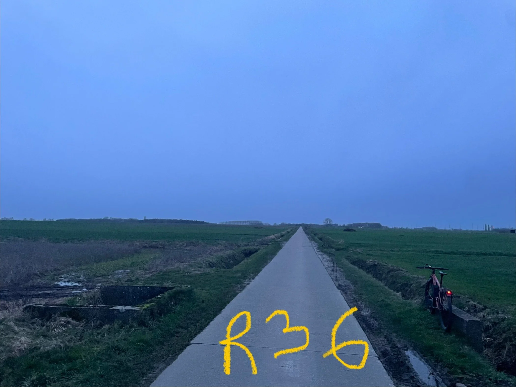 IMG_7954.jpeg