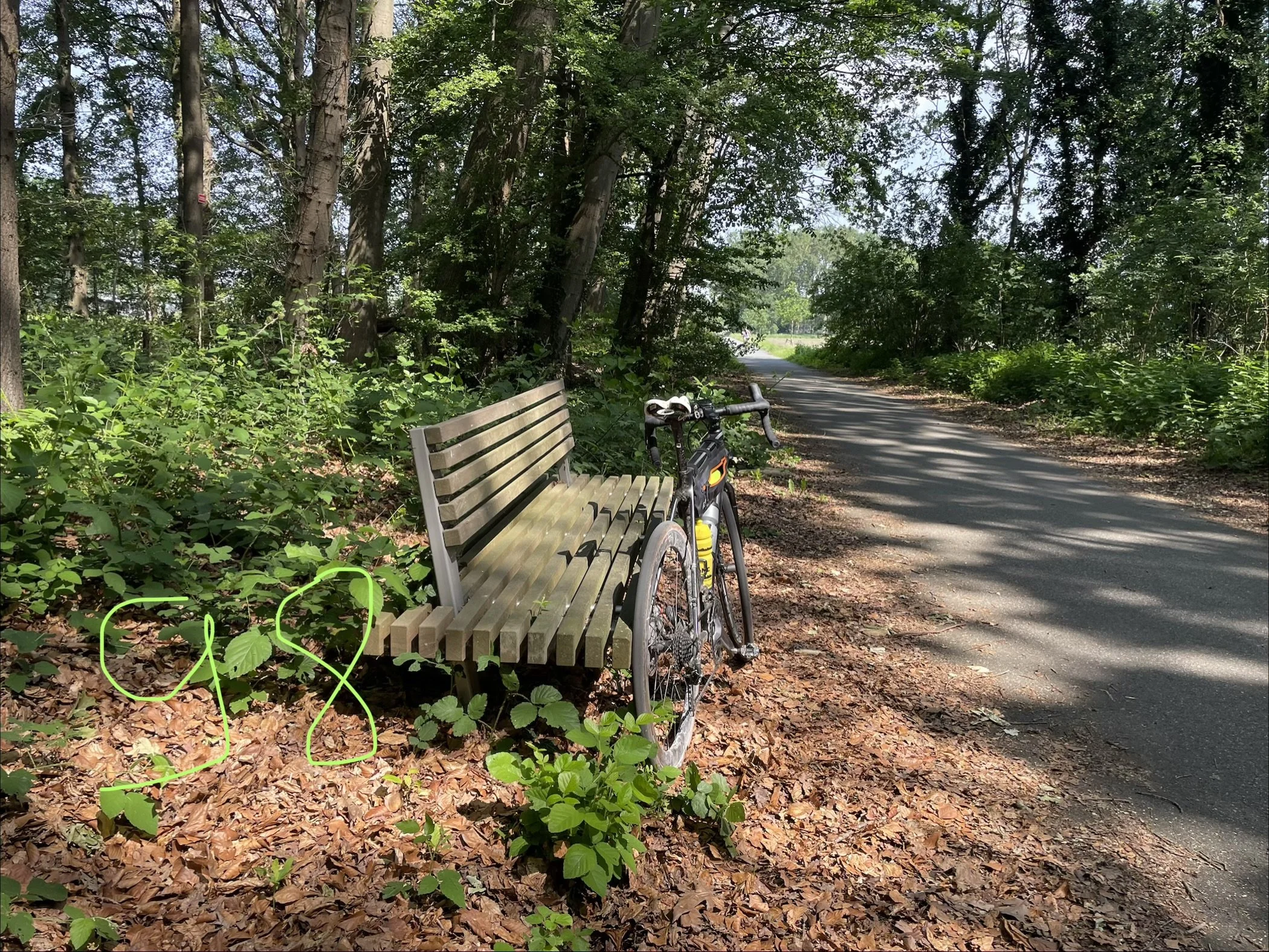 IMG_0378.jpeg