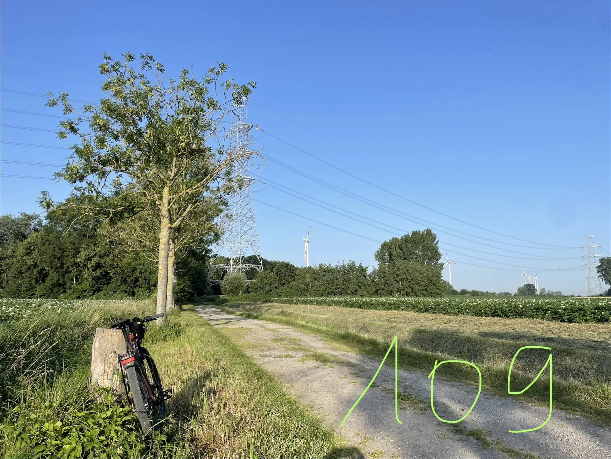 IMG_0619.jpeg