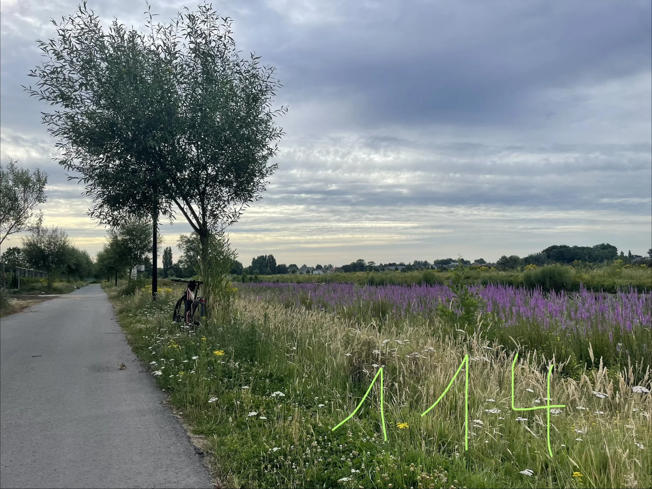 IMG_0664.jpeg