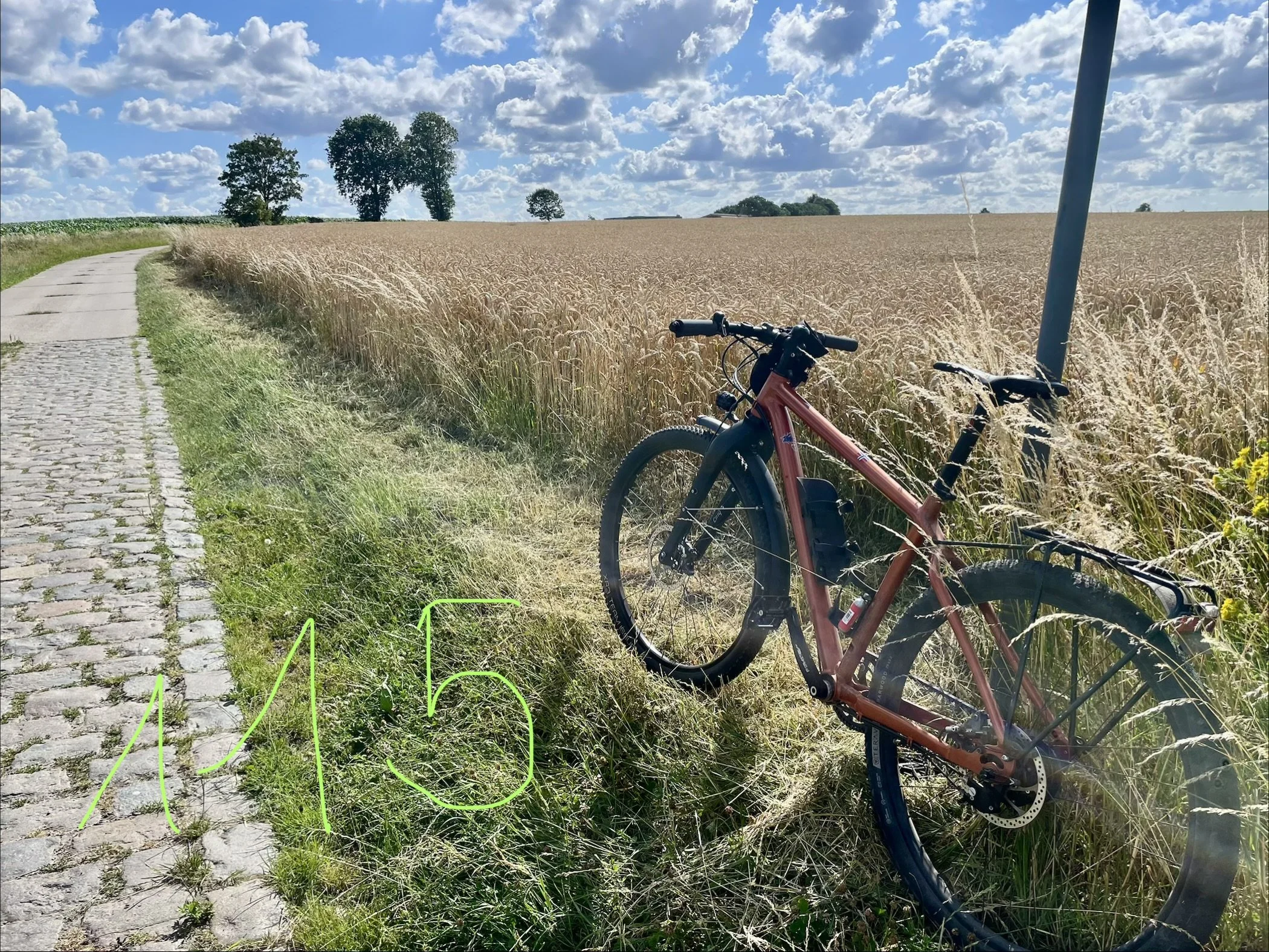 IMG_0705.jpeg