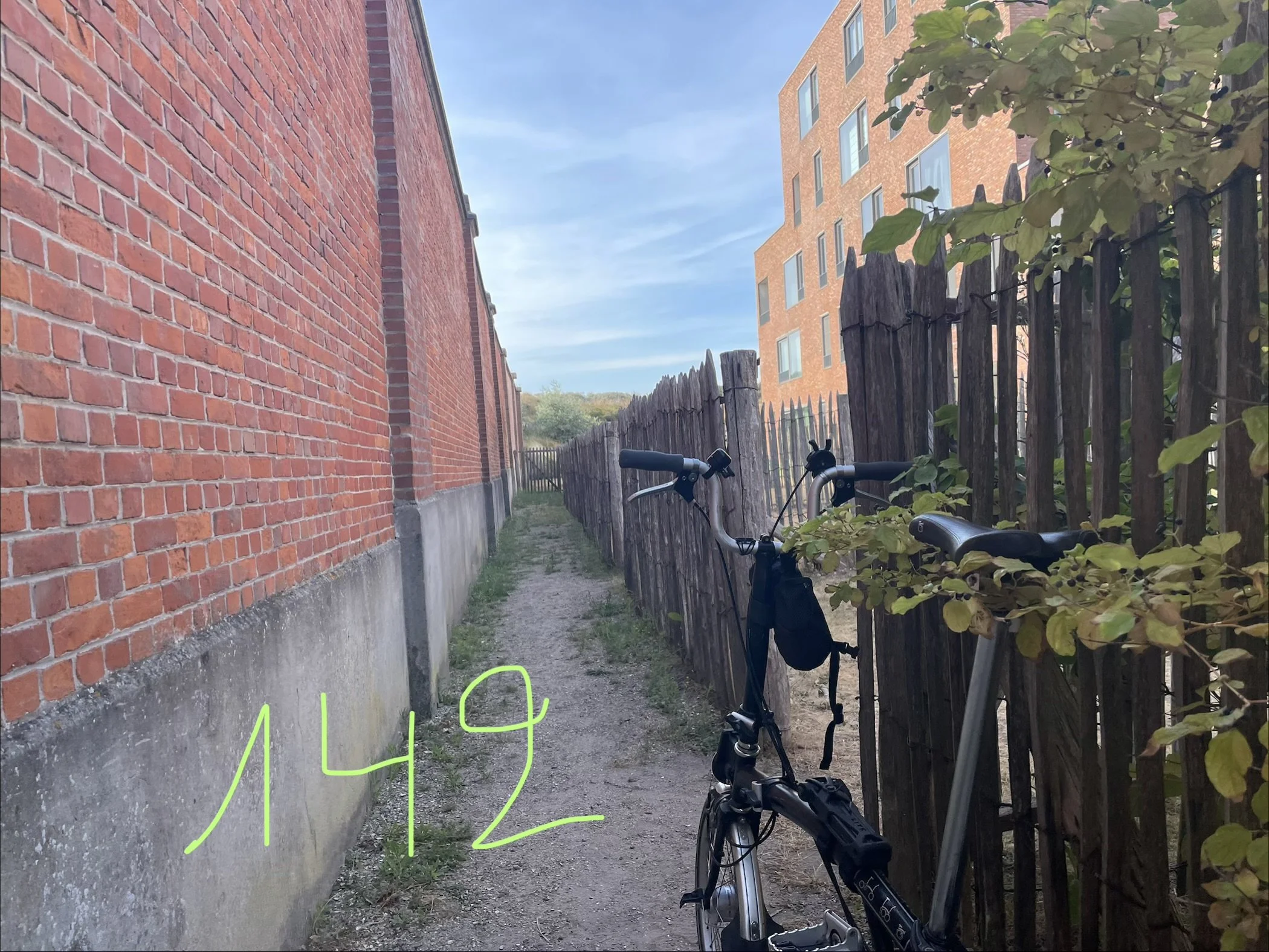 IMG_0898.jpeg
