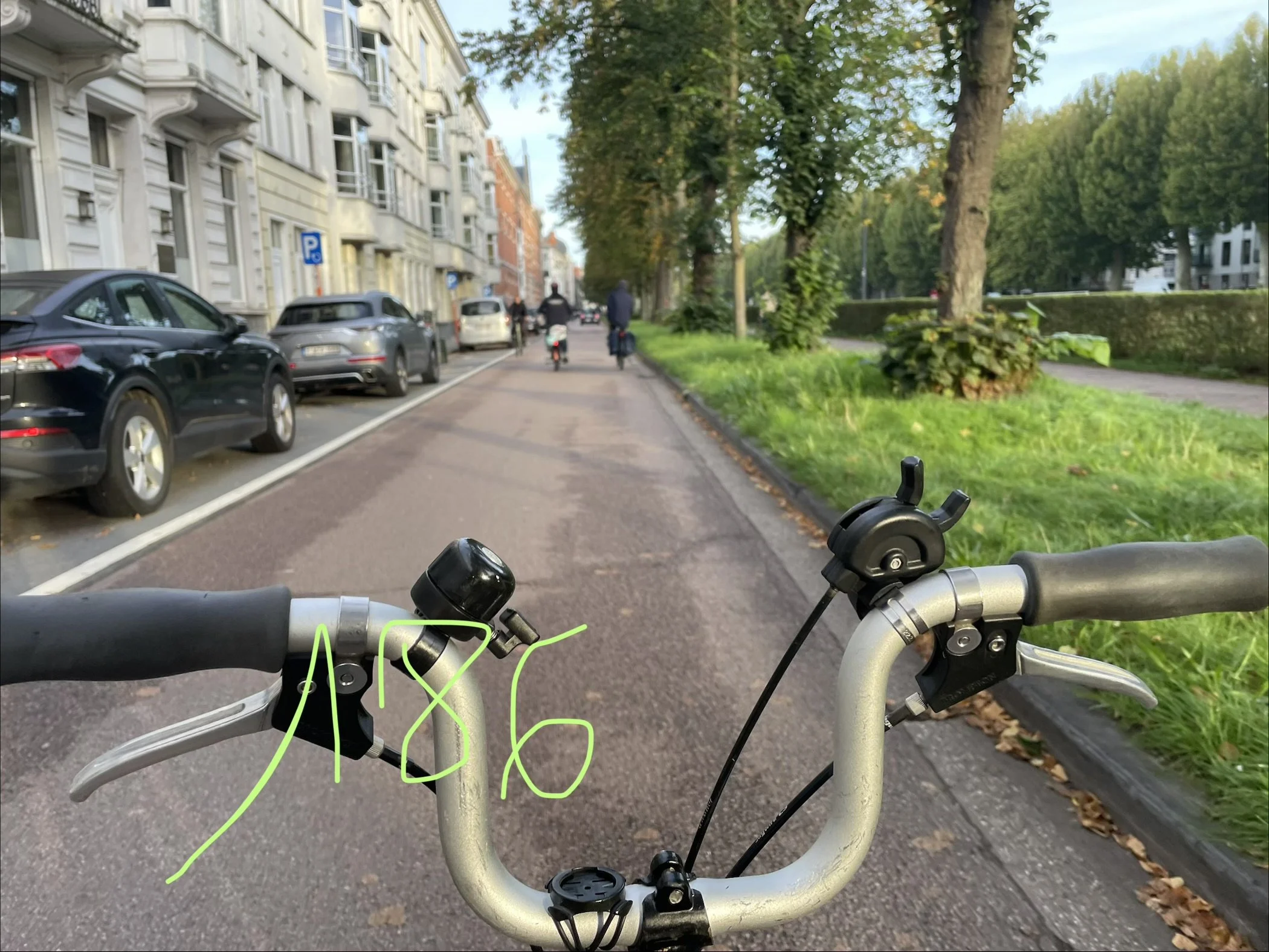 IMG_1568.jpeg