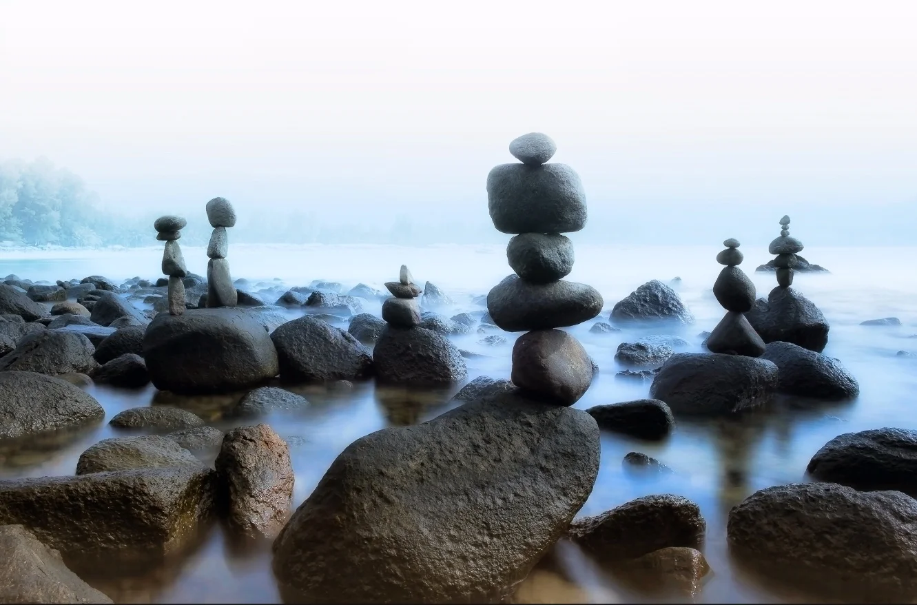 Full Day Training | Meditation