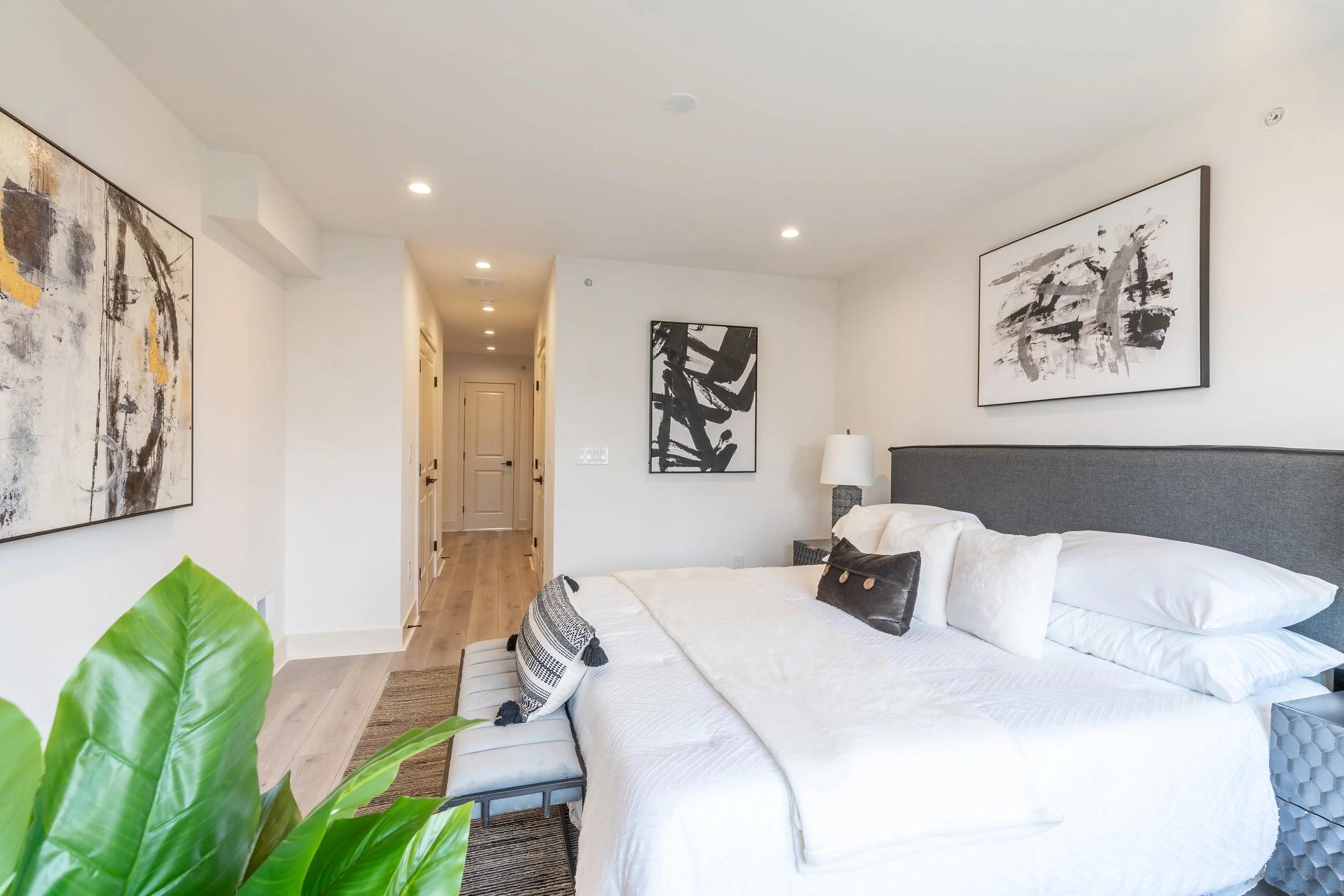 Queen Village new construction condominiums — Lily Development