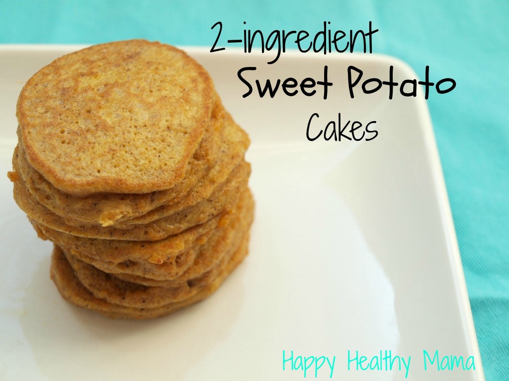 2ingredientsweetpotatocakes-1024x768.jpg