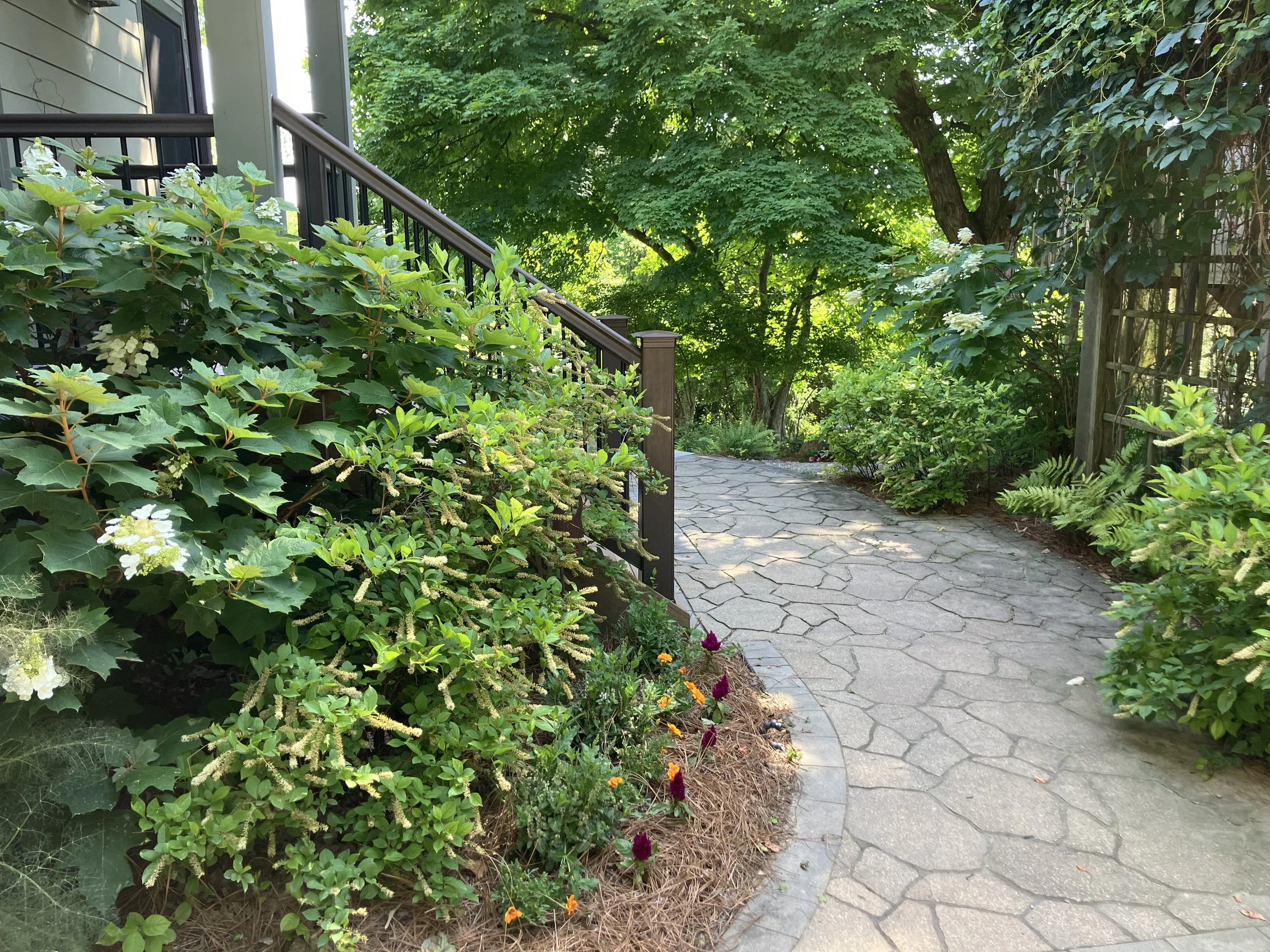 Creating a Living Wall & a Patio for Outdoor Living (Ft. Thomas)