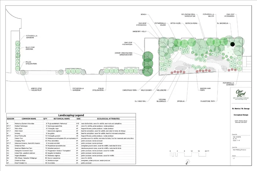 Landscape design to demonstrate native plants in an ornamental context