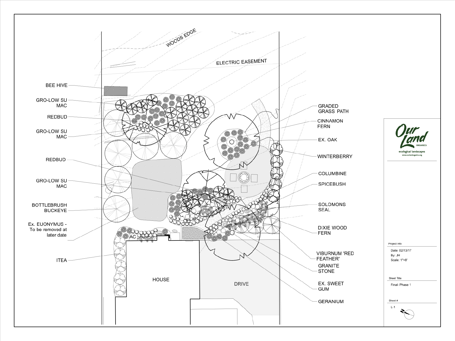 Ft. Thomas landscape design