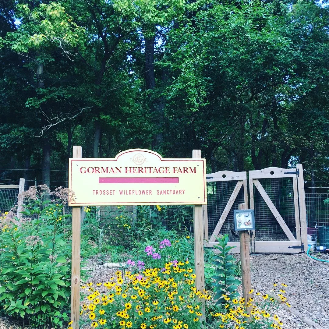 Entrance planting