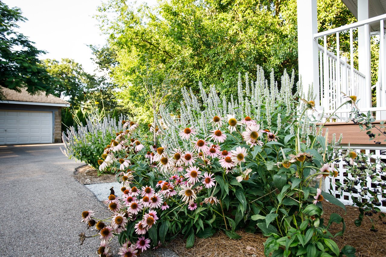 Give the Gift of Native Gardens