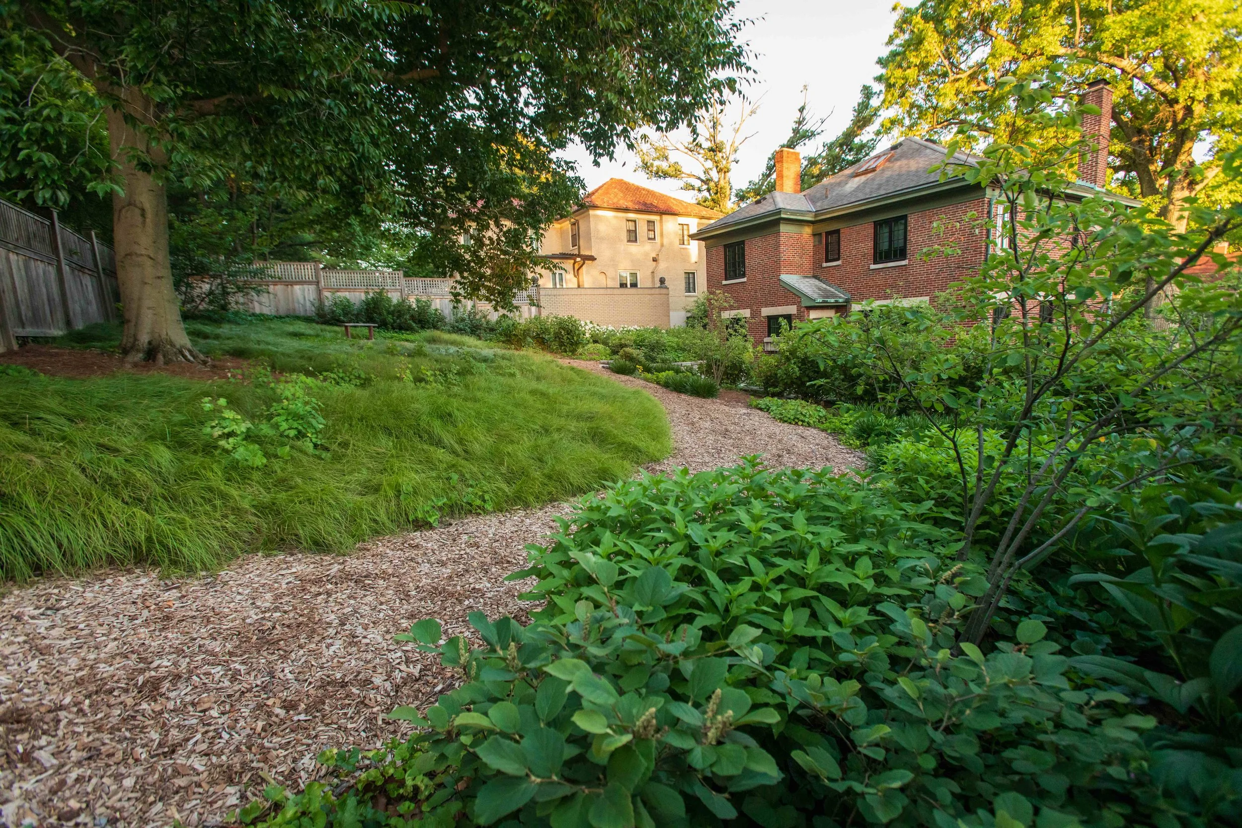 native plant landscape design in Cincinnati