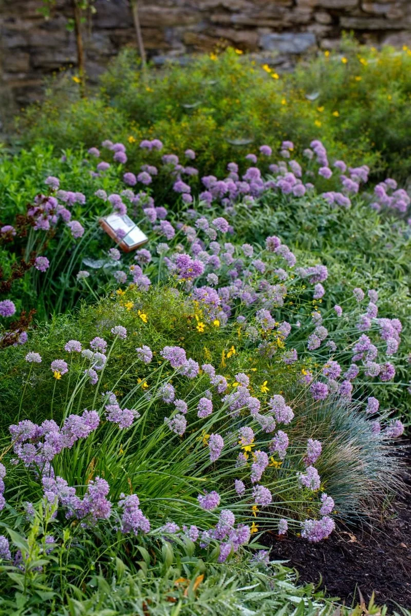MT6A0047.jpg