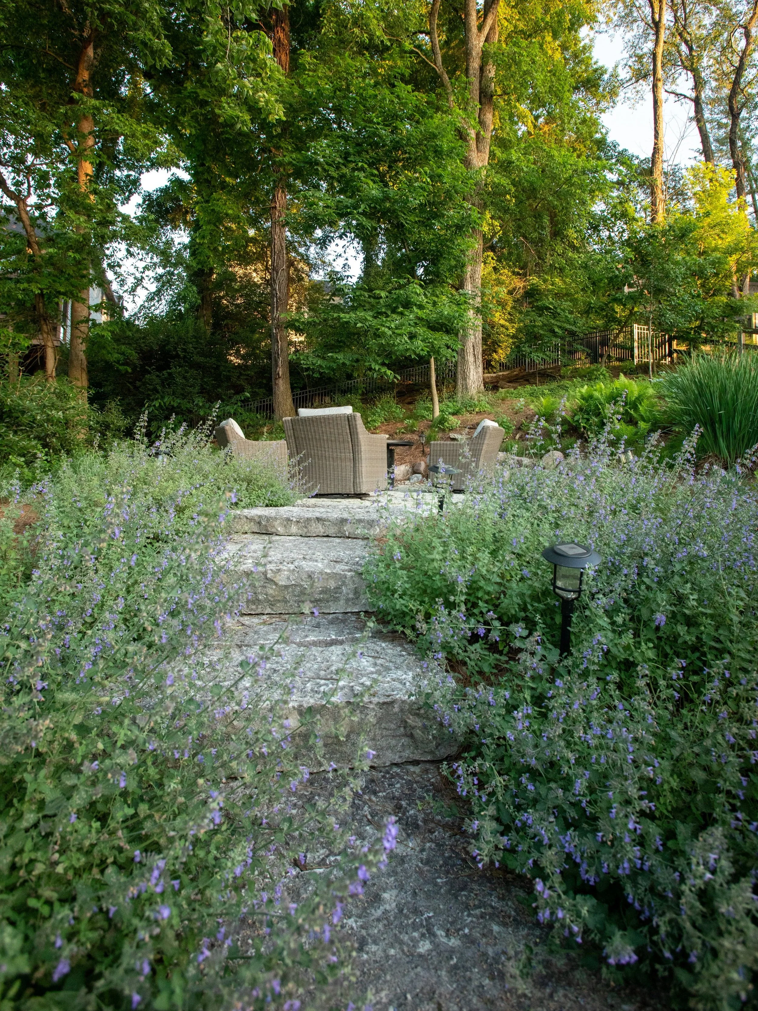 a backyard landscape design that includes a hardscaped patio, stone stairs, and a variety of native plants in Ohio
