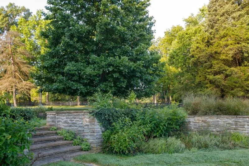 4 Ecological Landscaping Books that Inspire Our Work  