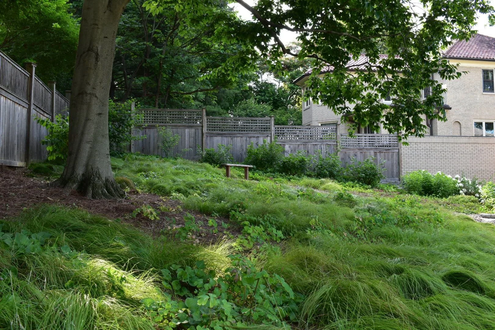 Our Organic Approach to Landscape Management