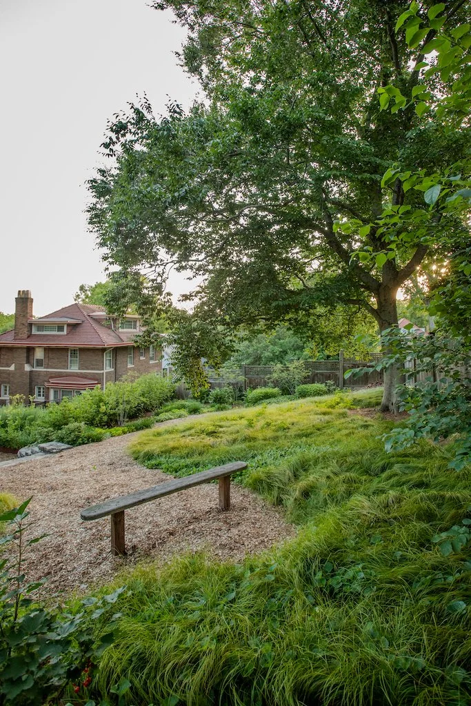 An Our Land Organics ecological landscape design using native sedges and other native plants