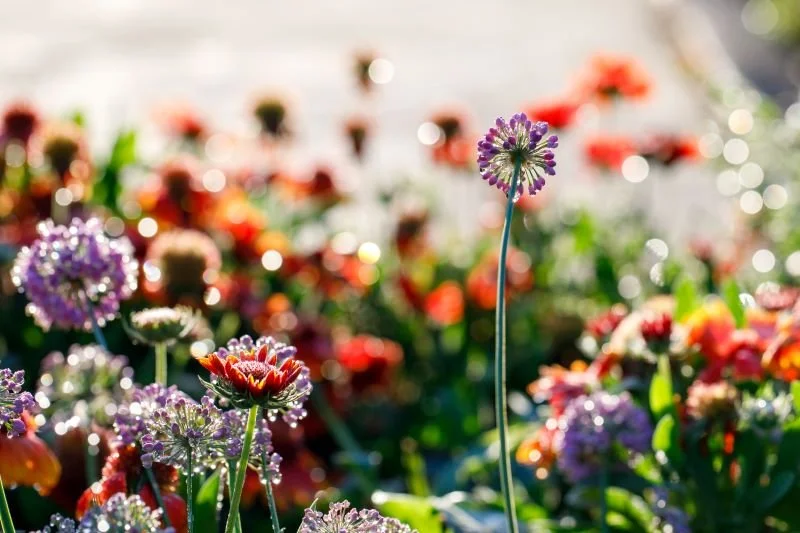 “The True Teacher”: Q&amp;A with Our New Lead Designer