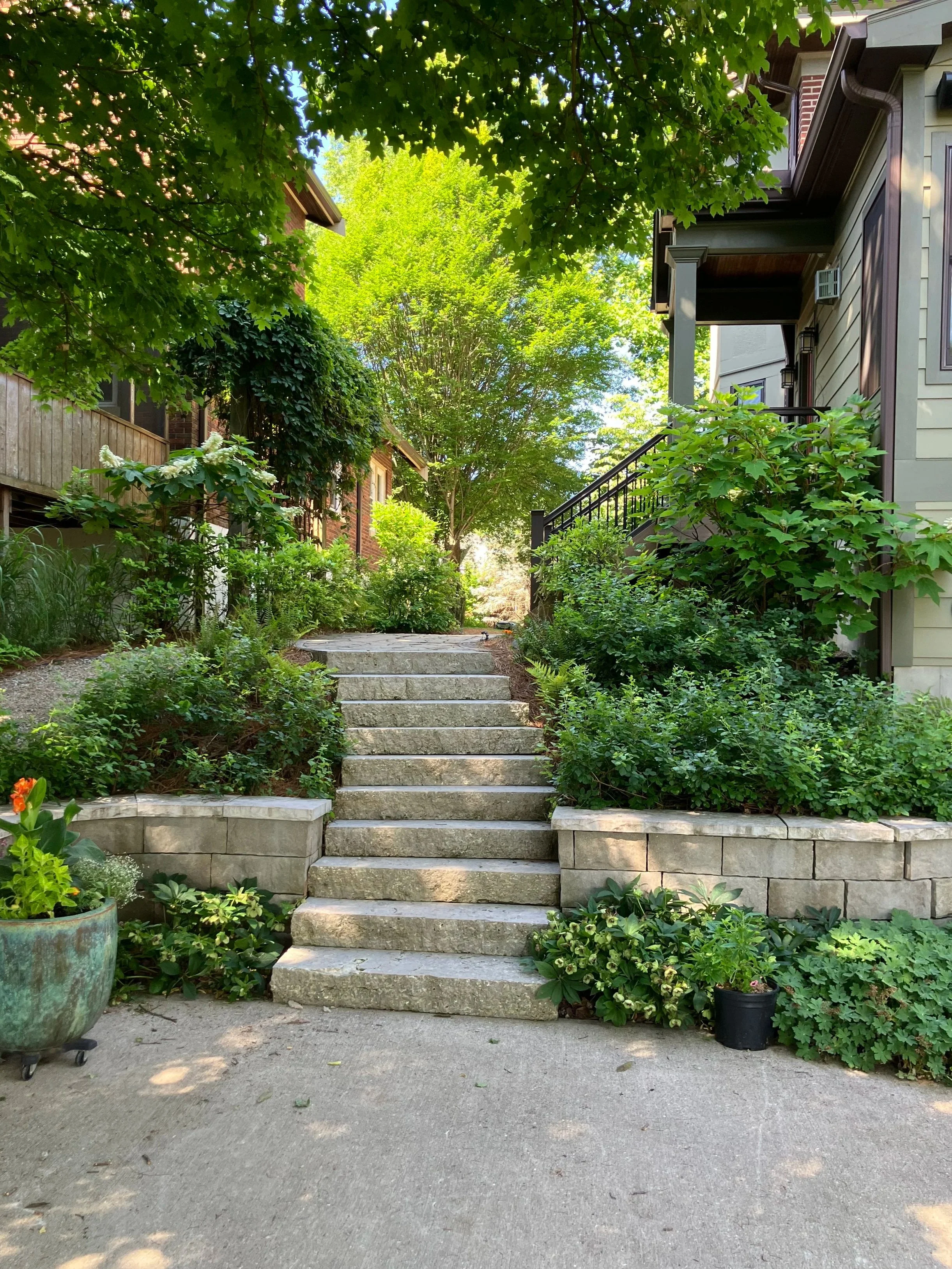 hardscaped stone stairs surrounded by elegant landscaping using native plants