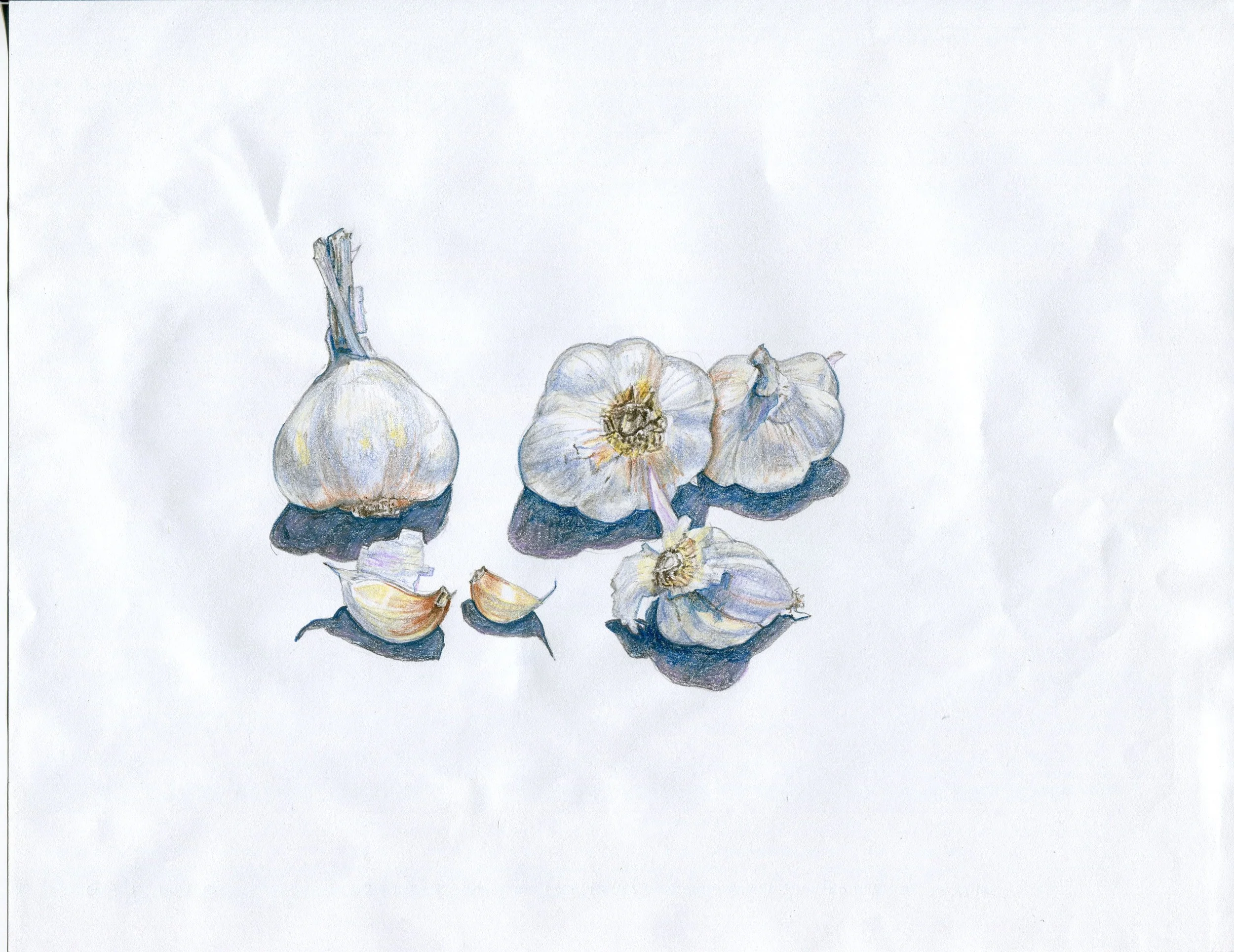 2014 Drawings025.jpg