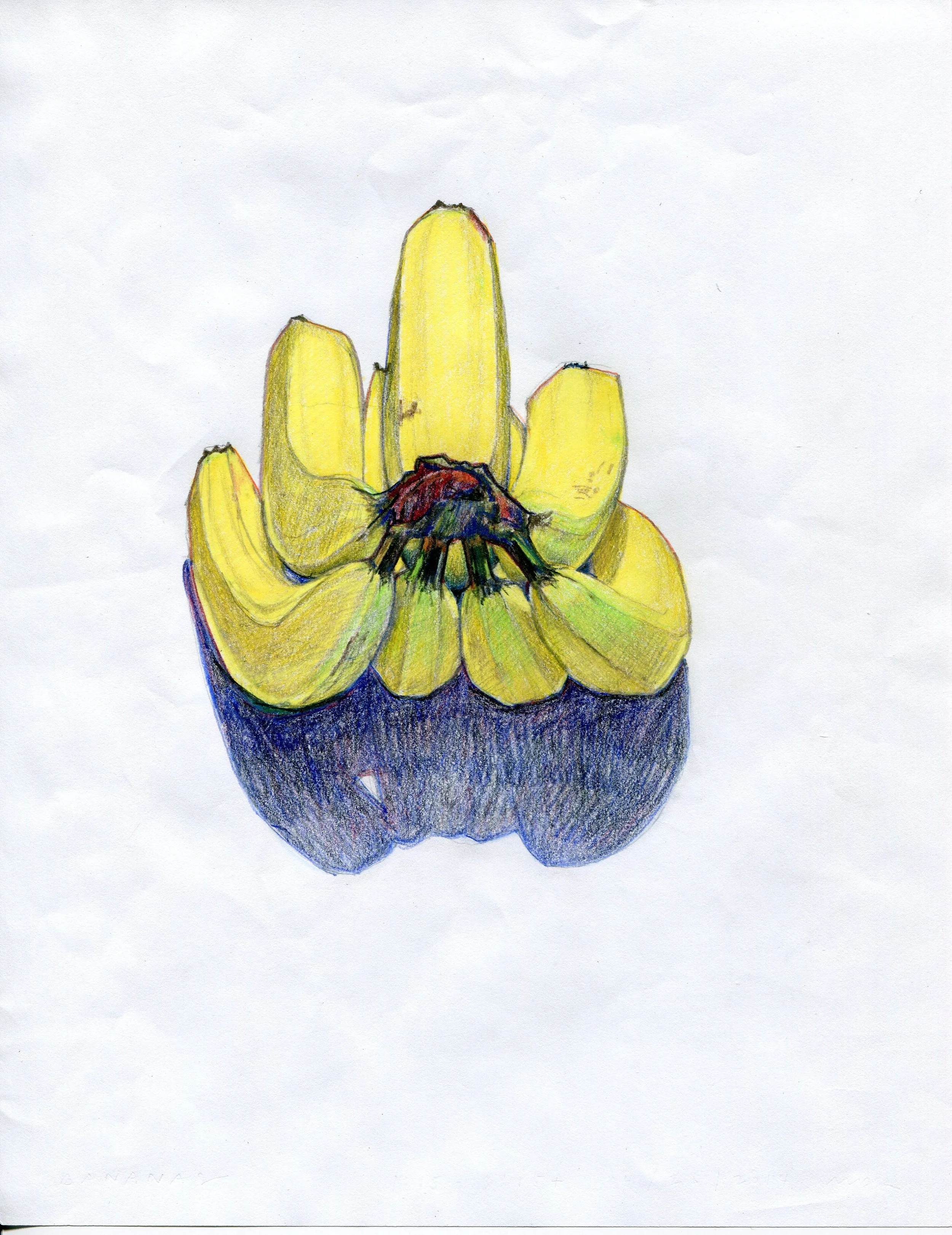 2014 Drawings026.jpg