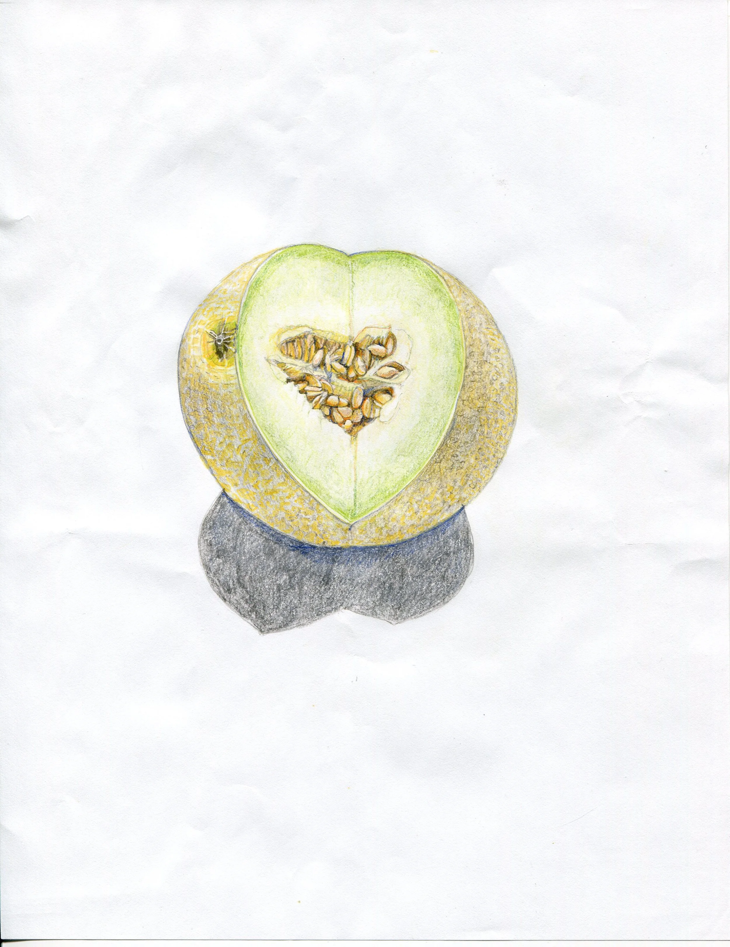 2014 Drawings037.jpg