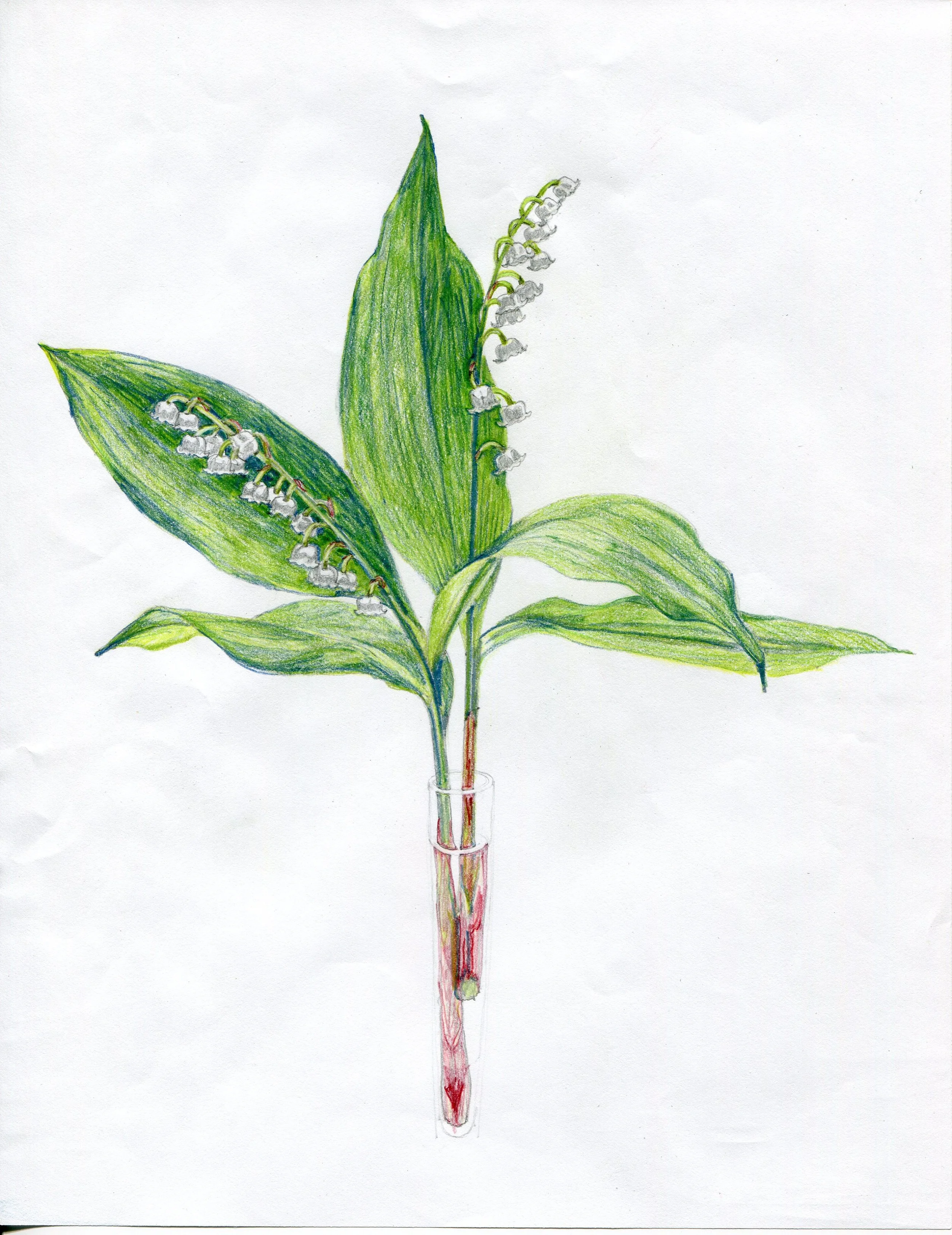 2014 Drawings042.jpg