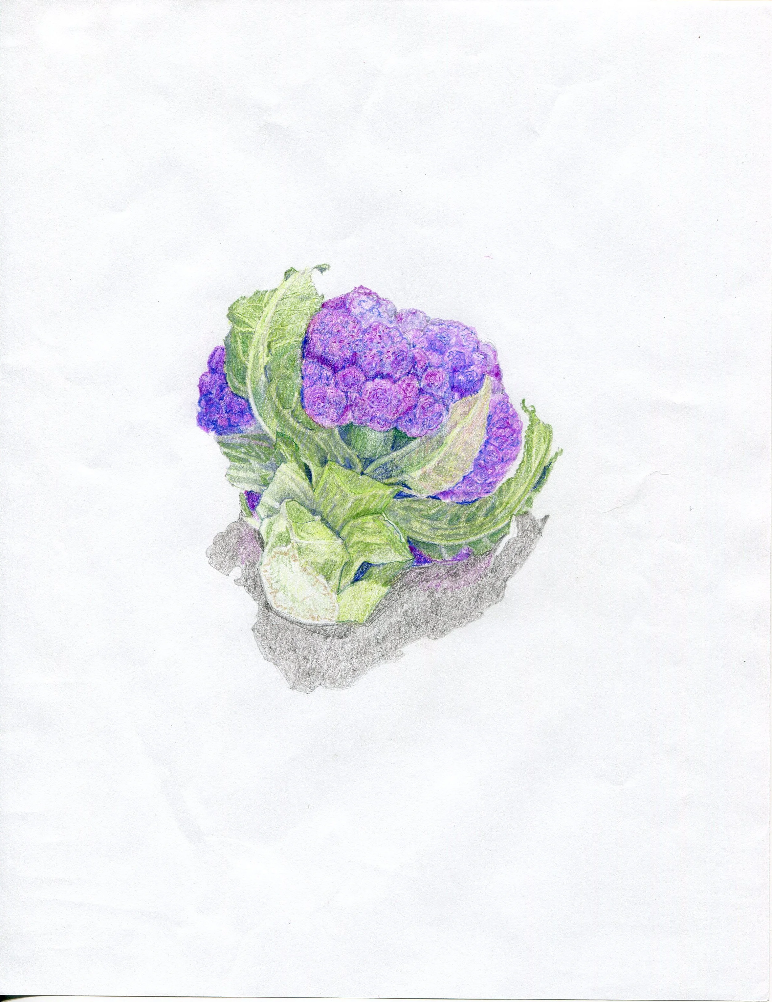2014 Drawings046.jpg
