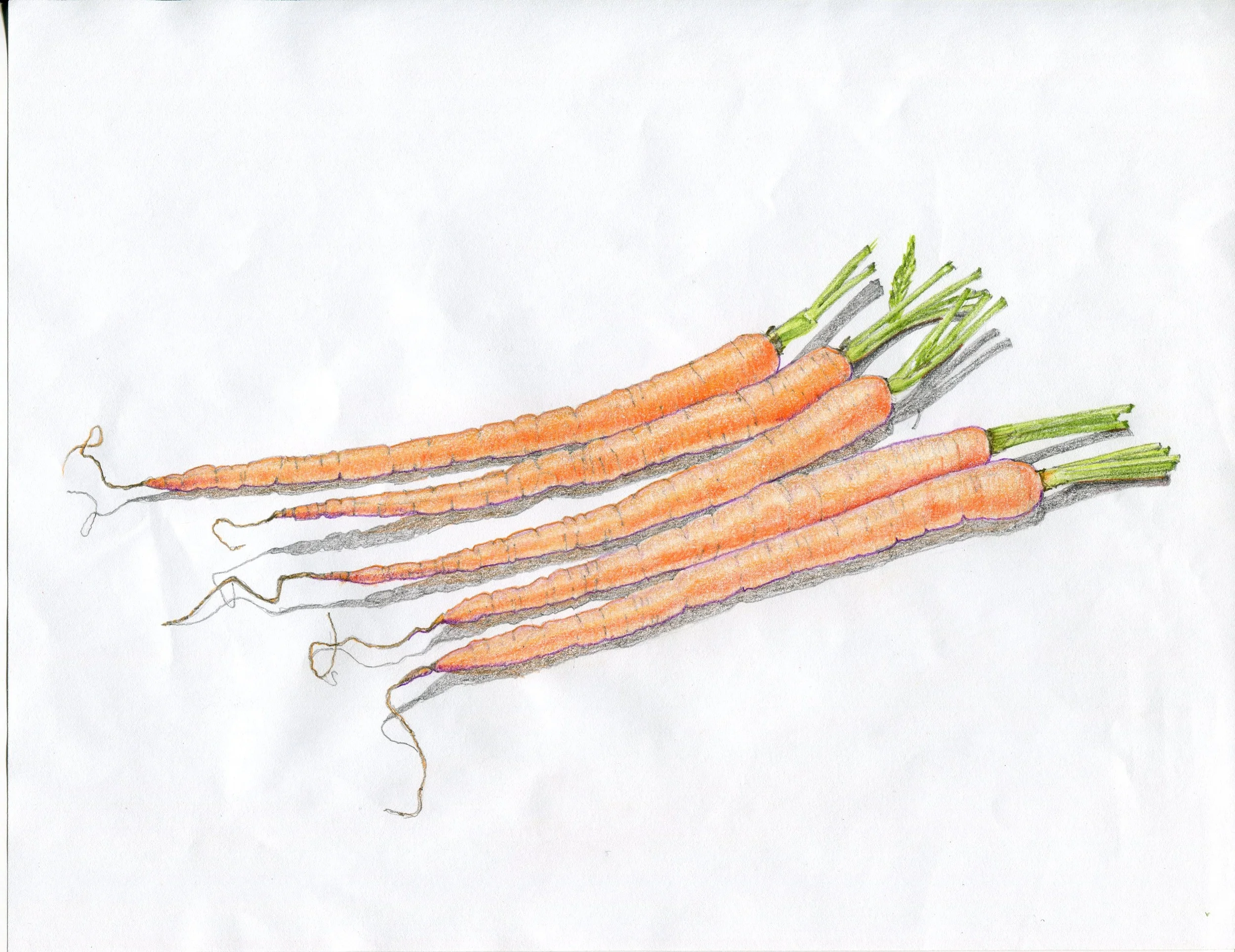 2014 Drawings047.jpg