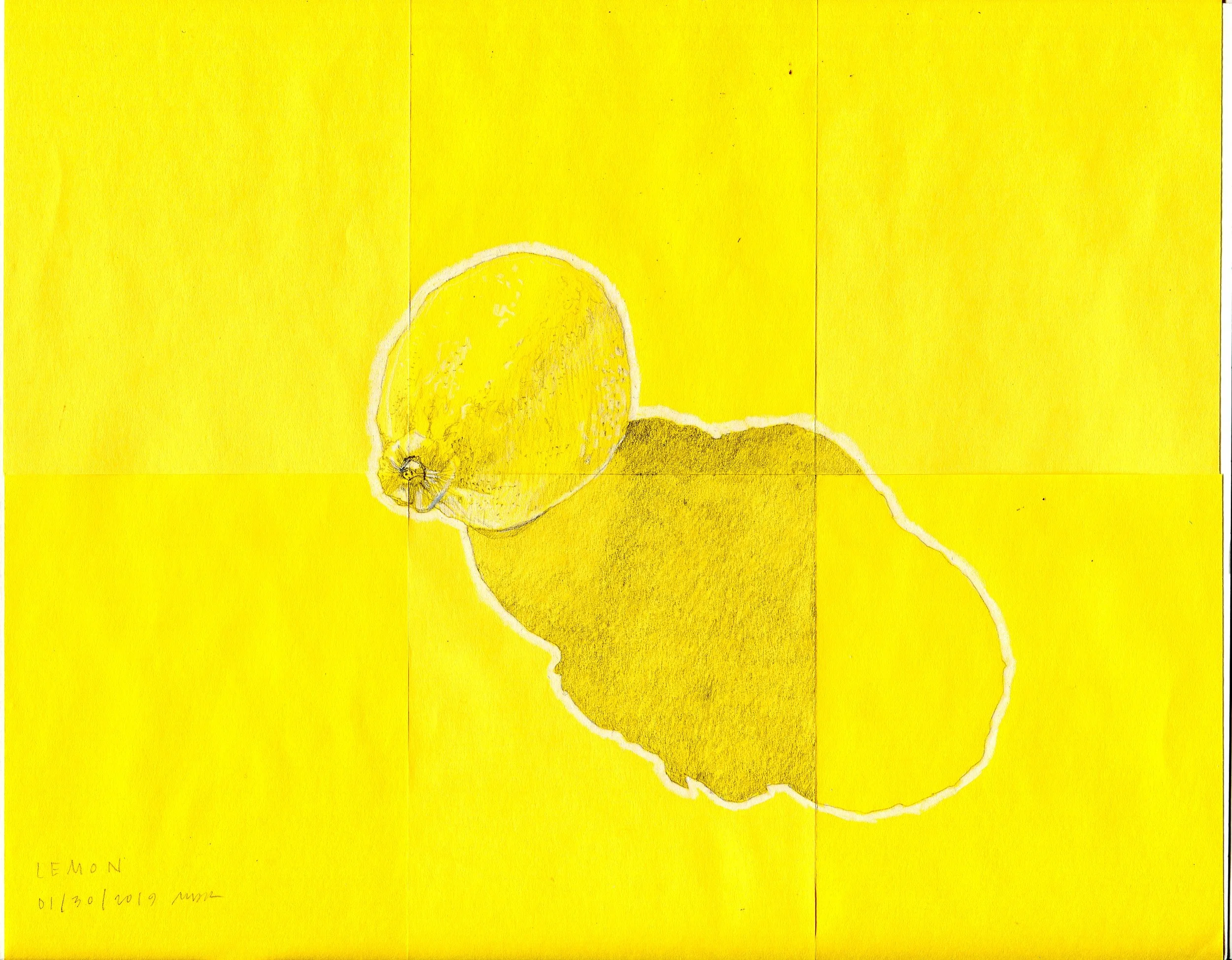 2019 MDK 0130 lemon001.jpg