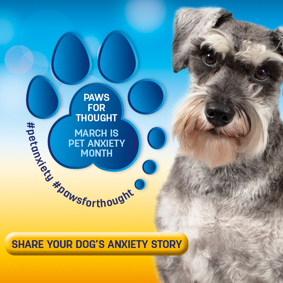 SCHNAUSER INSTAGRAM PFT LOGO NEW.jpg