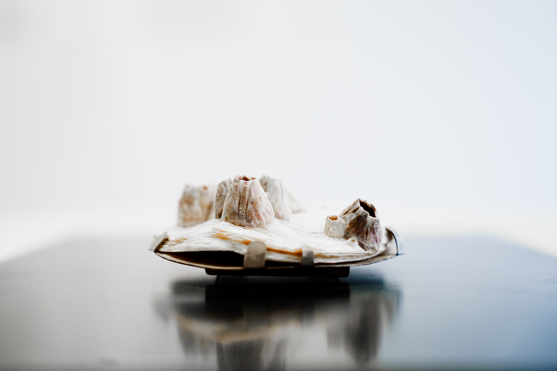 Isabel Dammermann at OHMYBLUE, photo: Riccardo Banfi