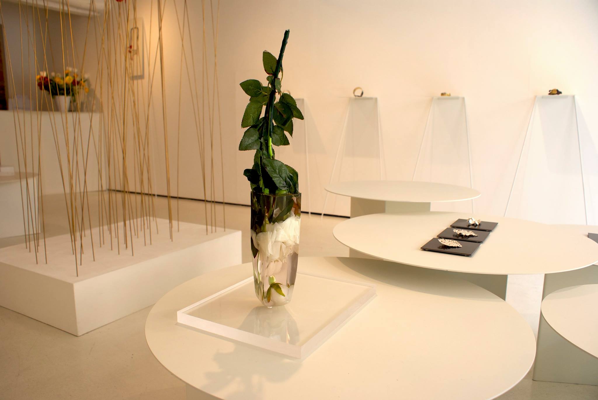 exhibition view, Per Domani , Catalina Brenes, 2014, OHMYBLUE, Venice, Italy