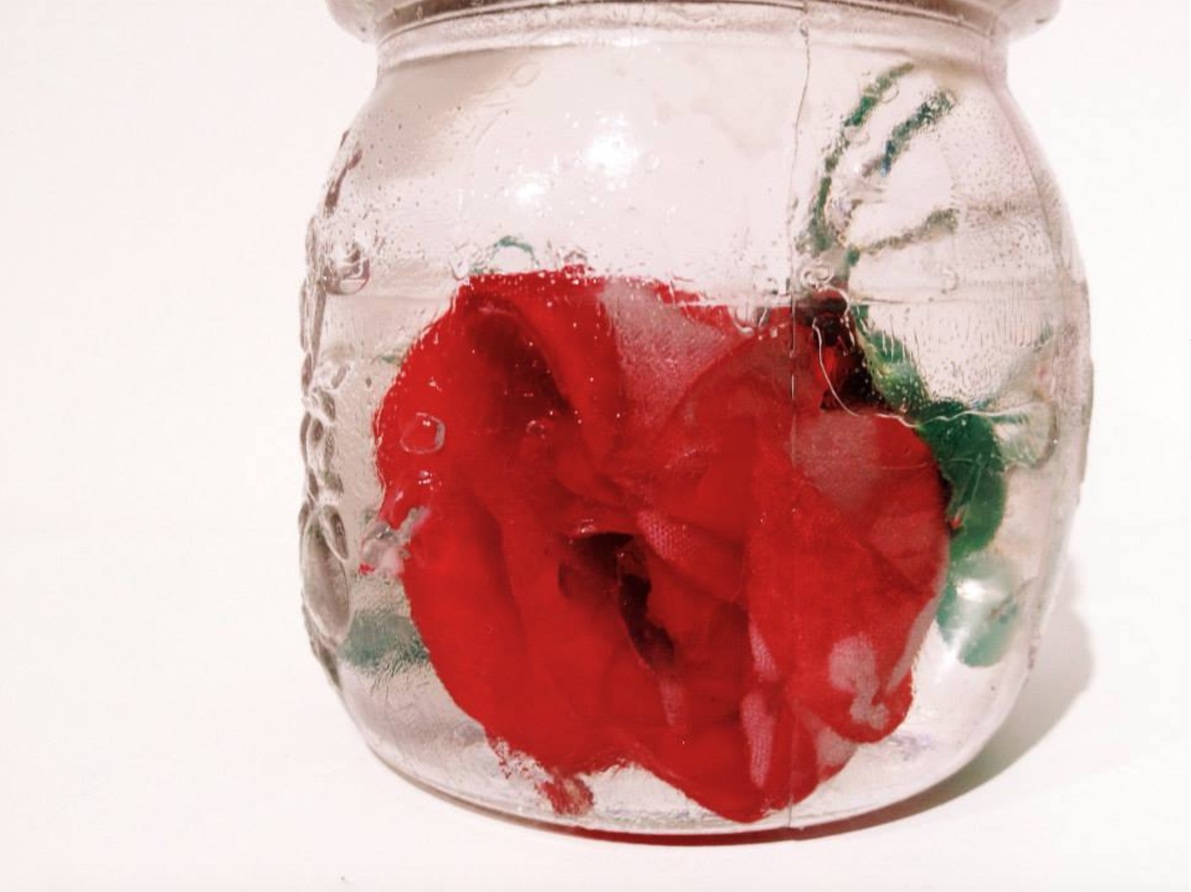 detail, Per Domani, Catalina Brenes, 2014, OHMYBLUE, Venice, Italy, photo: OHMYBLUE