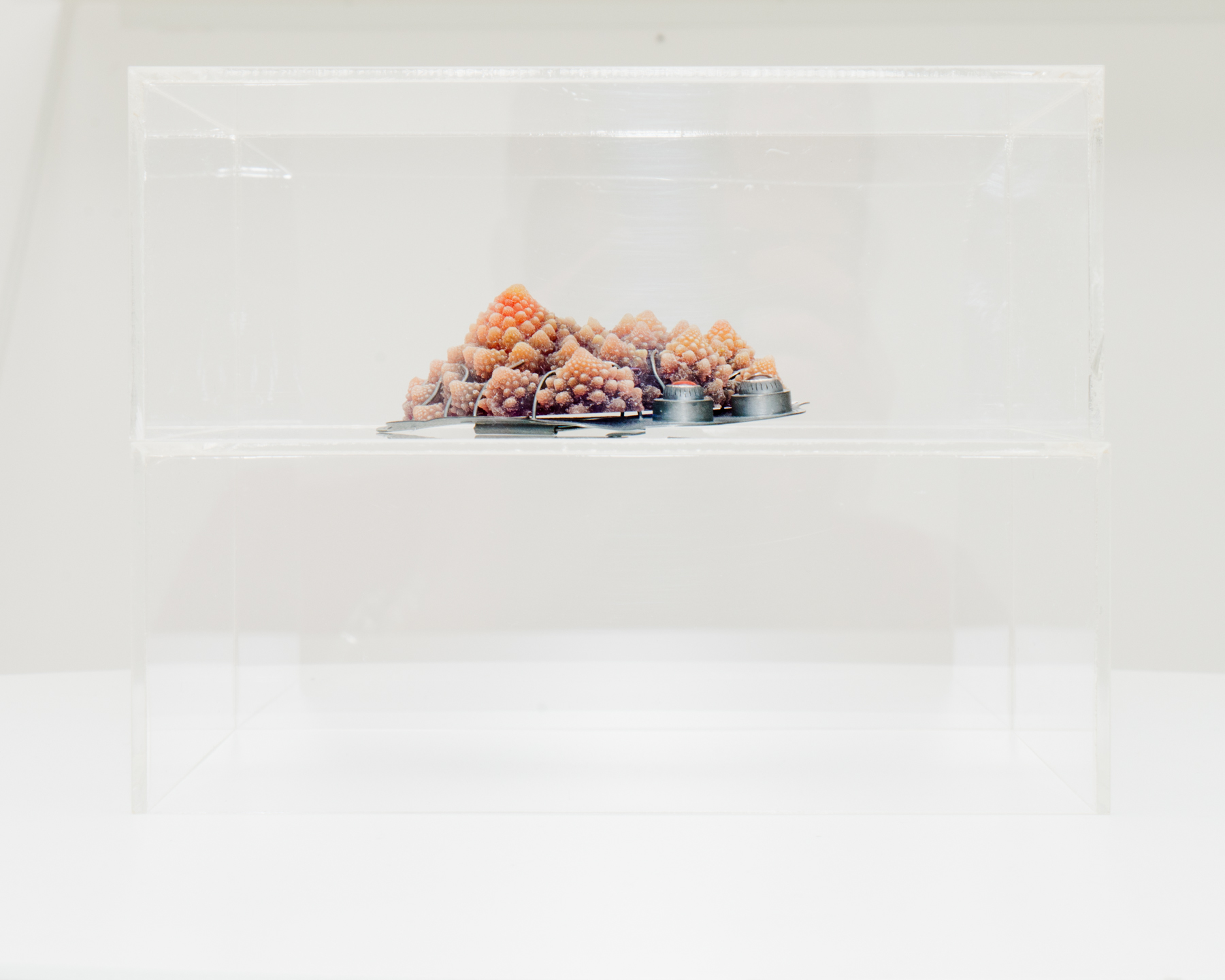 exhibition view, Selected Stories , foreground work by Barbara Paganin, photo: Riccardo Banfi