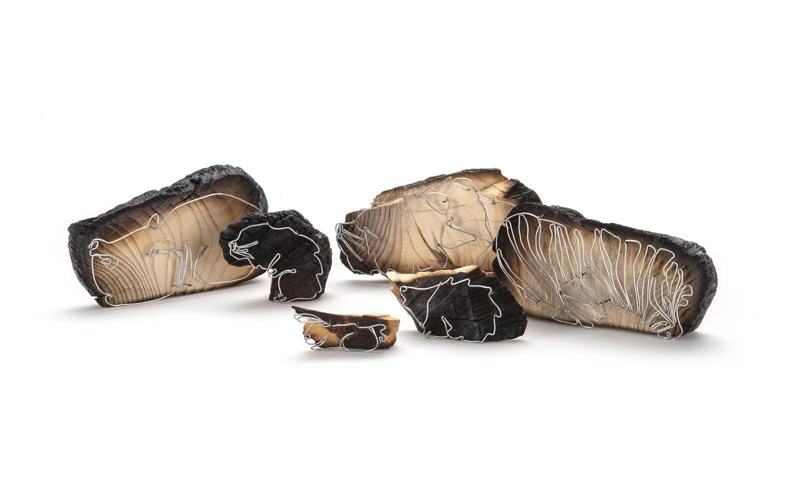 ISLAND #5: FEDERICA SALA