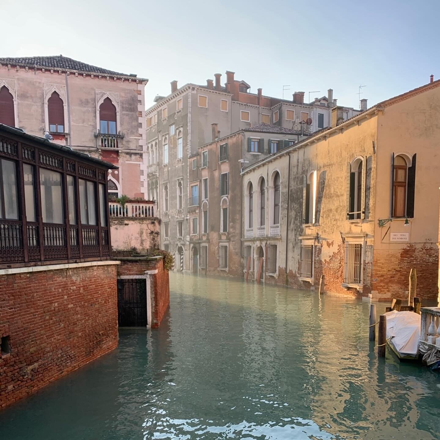 According to my photo gallery, one of the things I like the most in Venice are the views from its bridges 🙆🏻&zwj;♀️
.
.
.
#lifeonwater #venice #venezia #igersvenezia #igersveneto #veneziadavivere #venise #wisteria #veneto #veneziaunica #veniceitaly