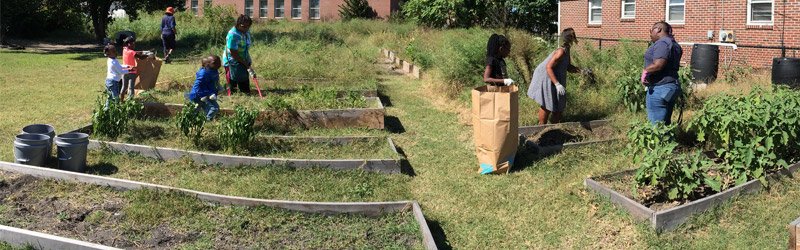 U Dig It Community Garden - Mason County